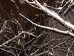 DSC01780