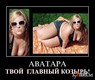 1260983806_demotivator171