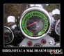 1260657504_ealxu19j2flv
