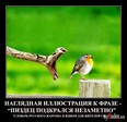 1260810477_imuq3cizbnpj