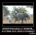 1260983838_438372_i-hujyak