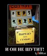 1260983849_1253422388_demotivators_74