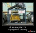 1251973772_989999_a-to-vyirastet