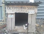 antikrizisnaja ohrana