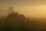 Изображение 060
