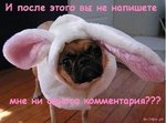 Розовая Прелесть!