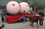 img_4528859_13697_1.jpg