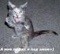 uMNXXT4CBdQ6xOmOnnYAsUhN42VRx9APt0e8vjAxUQ