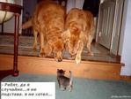Et8VCtHCJ08CUxn8yKl4QuLj2VdJ5yOr3r8kOvwJXxg