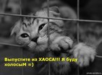 8wvvU1sn3wPY55QWjtkoRQMRkkWGe0K0b8dM0fne7D8g