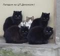 iSbPPr2UFxZLimJBnw2yQZ64oWEYcguju6FR7JIljUw