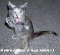 uMNXXT4CBdQ6xOmOnnYAsUhN42VRx9APt0e8vjAxUQ