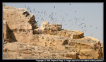 Khalac_1