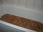 DSCN1777