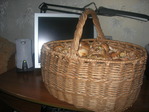 DSCN1772