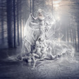 scream_of_the_butterfly_by_nina_y-d65kn66
