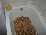 DSCN1776