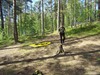 тут пришел лесник и всех разогнал