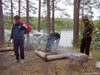 мишки на севере