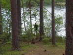 я бы сказал, что он ловит рыбу, но