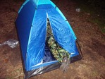 прикимарил