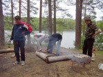 мишки на севере