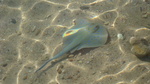 DSC03889