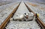 people_can_sleep_anywhere