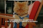0hSIJEMPr3M