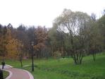 Просто парк