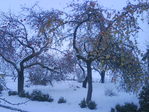 DSC00001.JPG