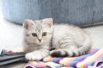 IMG_0438_измен.размер