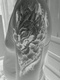 DSC00097