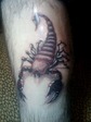 IMG0347A