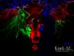 images13