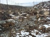 Этот пейзаж открывается из окна электрички