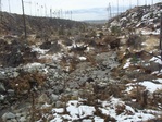 Этот пейзаж открывается из окна электрички