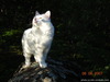 DSCN0755