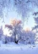 qcYtBUyiHu8