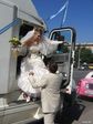 123_wedding
