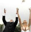 081_wedding