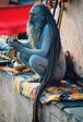 friki_044