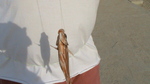 DSC00468