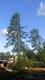 DSC00061.JPG