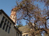 DSC00661