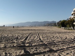 DSC00700