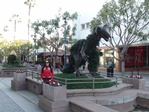 DSC00704