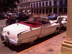 IMAGE_447