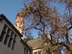 DSC00661