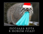 С новым годом!